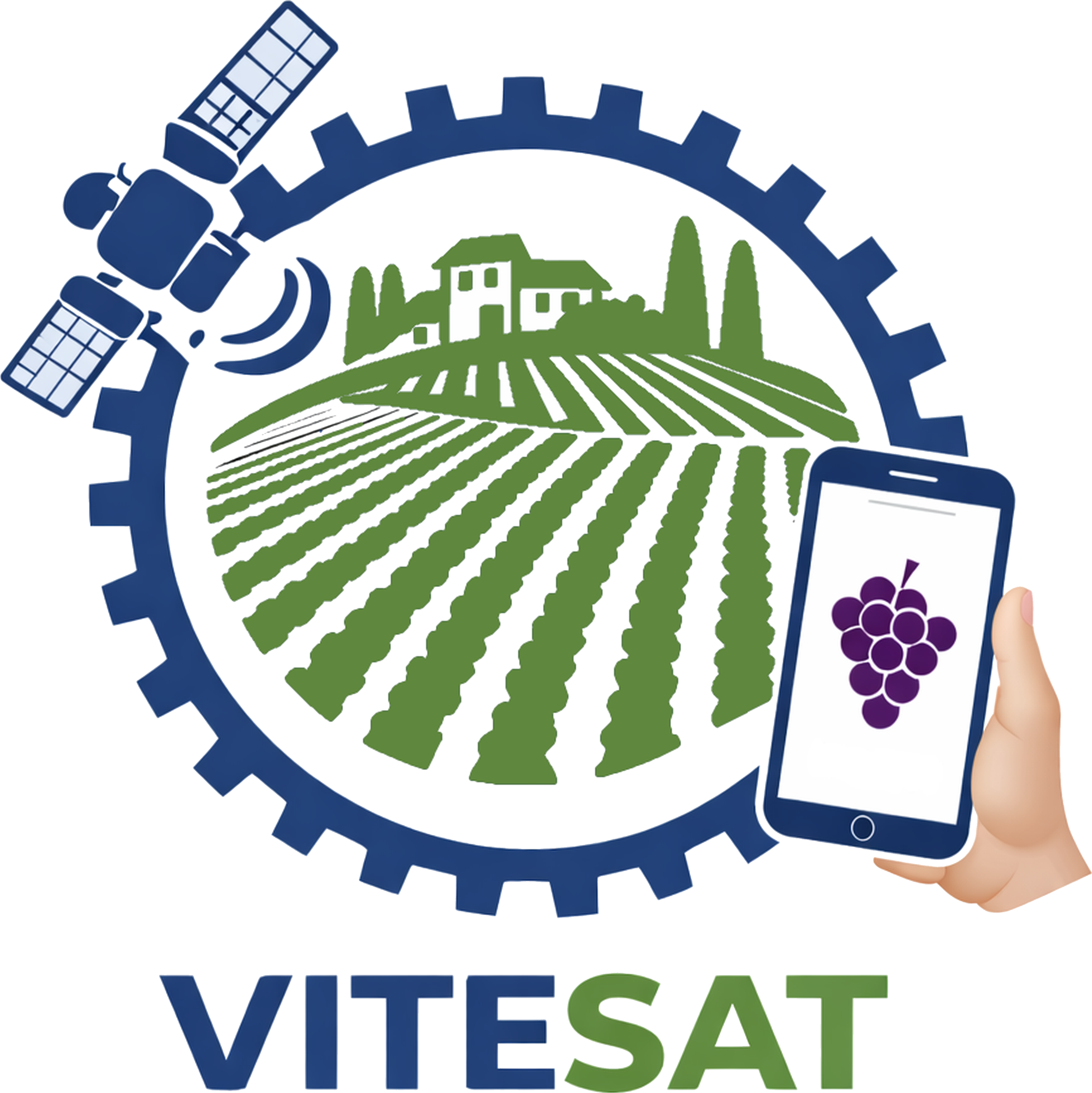 Logo VITESAT